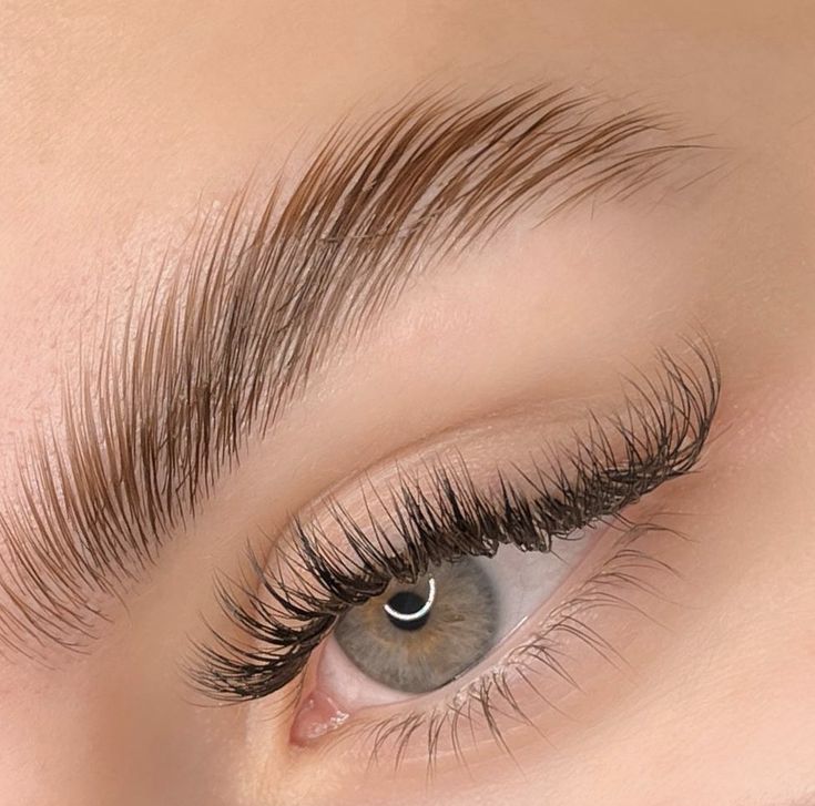 Procedimento Brow Lamination
